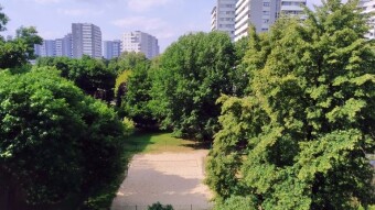 Hot Sunday, and in the park green and lush - My Activity Report Card: JULY 6 2025