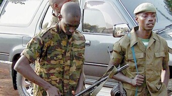 At Least 12 DR Congo Rangers Killed by Suspected Rwandan Rebels