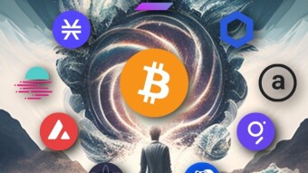 The 10 Token Crypto Portfolio - Preparation for the next Cycle