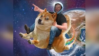 Doge day The day we've all been waiting for. .69 PRICE TARGET