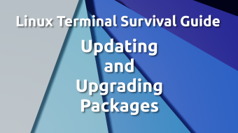 Updating and Upgrading Packages