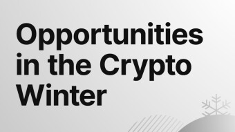 Opportunities in the Crypto Winter