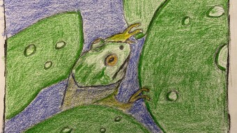 Attention frog kissers