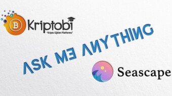 Recap of Kriptobi & Seascape AMA