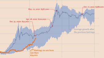 Gold dust today, a fortune tomorrow!