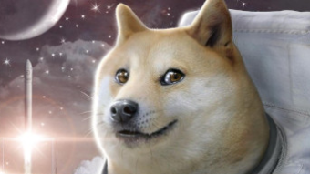 Elon Musk: SpaceX taking Dogecoin to "literal moon"