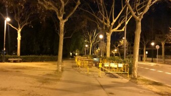 Alone in the dark...