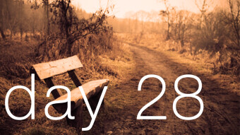 DAY 28 : from 0 to 1 BTC - Earnings recap
