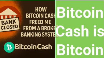 I Survived the Bank Blackout with Bitcoin Cash!