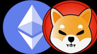 SO we are all complaining on how to take down the system. Here is an idea. Lets all get super rich from Shiba Inu (SHIB)