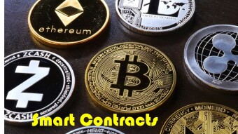 Which smart contract to choose?