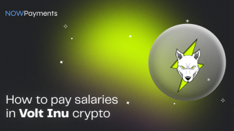 How to pay salaries in Volt Inu crypto