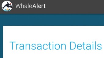Over the past day, an unknown whale transferred about 250 million USDT to the Binance exchange.