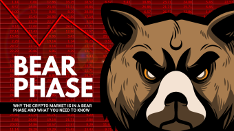 Why the Crypto Market is in a Bear Phase and What You Need to Know