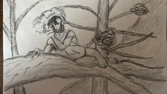 Arboreal Repose