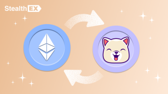 Where And How To Buy Kishu Inu Coin?