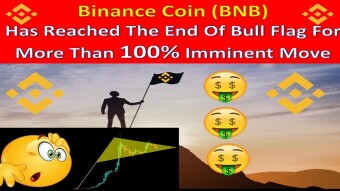 Binance Coin (BNB) Has Reached The End Of Bull Flag For More Than 100% Imminent Move