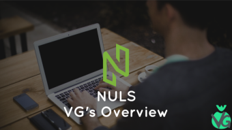 VG’s Overview — NULS — Modular Blockchain