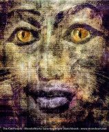 The Cat People - MondoWorks Sketchbook