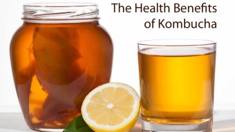 Benefits of Kombucha