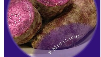 Purple potatoes and the secret of living longer!