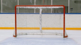 One NHL game tonight - I think these guys will WIN!