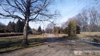 A beautiful, spring, March Tuesday, keep it up - My Actifit Report Card: March 4, 2025