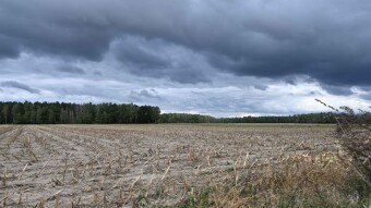 A very cold Monday, plus 8 degrees Celsius - My Actifit Report Card: September 29, 2025