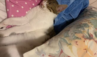 Loco sleeping everywhere