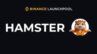Binance Confirms Hamster Kombat Token Listing