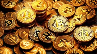 What Altcoin Category Is Best To Invest???