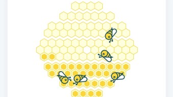 The HoneyGain Scare!