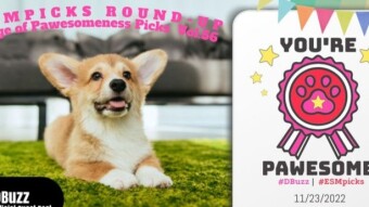 #ESMpicks Round-up : Badge of Pawesomeness Picks : Year2-Vol. 04