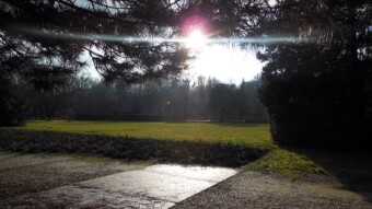 It didn't look good, but the sun showed up - My Actifit Report Card: December 7 2022