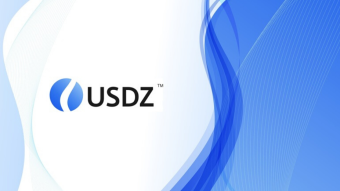Anatomy of a Crypto Fraud: USDZ