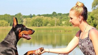A Regret That Dog Owners May Want To Avoid