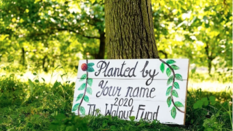 Meet the Walnut Fund