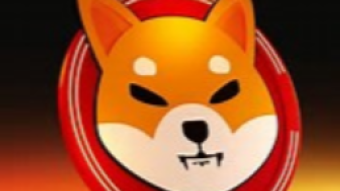 Shiba Inu Momentum