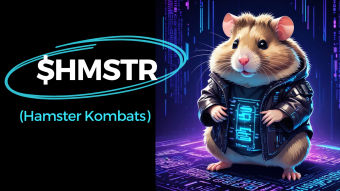 New AirDroid Game: Hamster Kombat