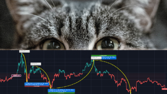 BTC miners seem to have a strong opinion on future prices