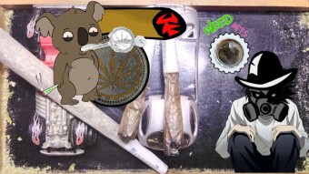 Why Blockchain Bud Smokers need HIVE in their life / NFT airdrop 2 + Im whitelisted as a Weedcash NFT producer