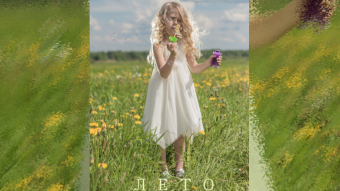 Summer. Image video