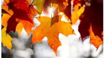 Crypto (Bitcoin) loves October!