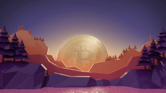 You Will Never Be Able To Profit From Bitcoin if You Remain Trapped in This Vicious Circle.