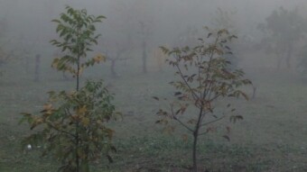 Countryside hiking (episode 6 - into the fog)