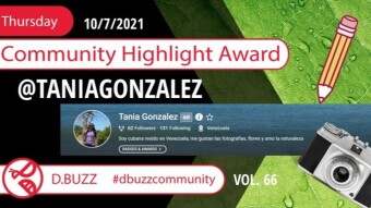 D.Buzz Community Highlight: @taniagonzalez