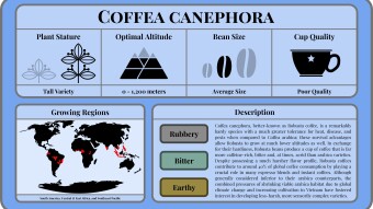 Conscious Caffeine #4 - Coffea canephora