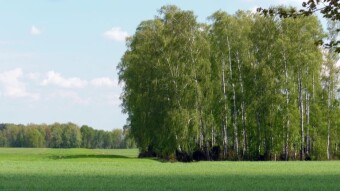 Change of environment, May weekend in the Lublin region - My Actifit Report Card: April 27 2024