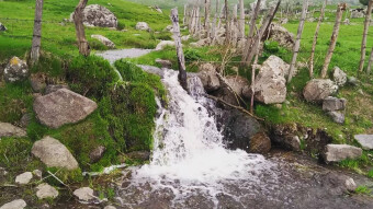 The Lush Mountains in The Outset of Spring | Iran