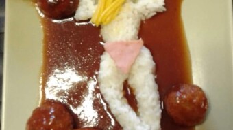 Foodbook #1030  rice with meatballs